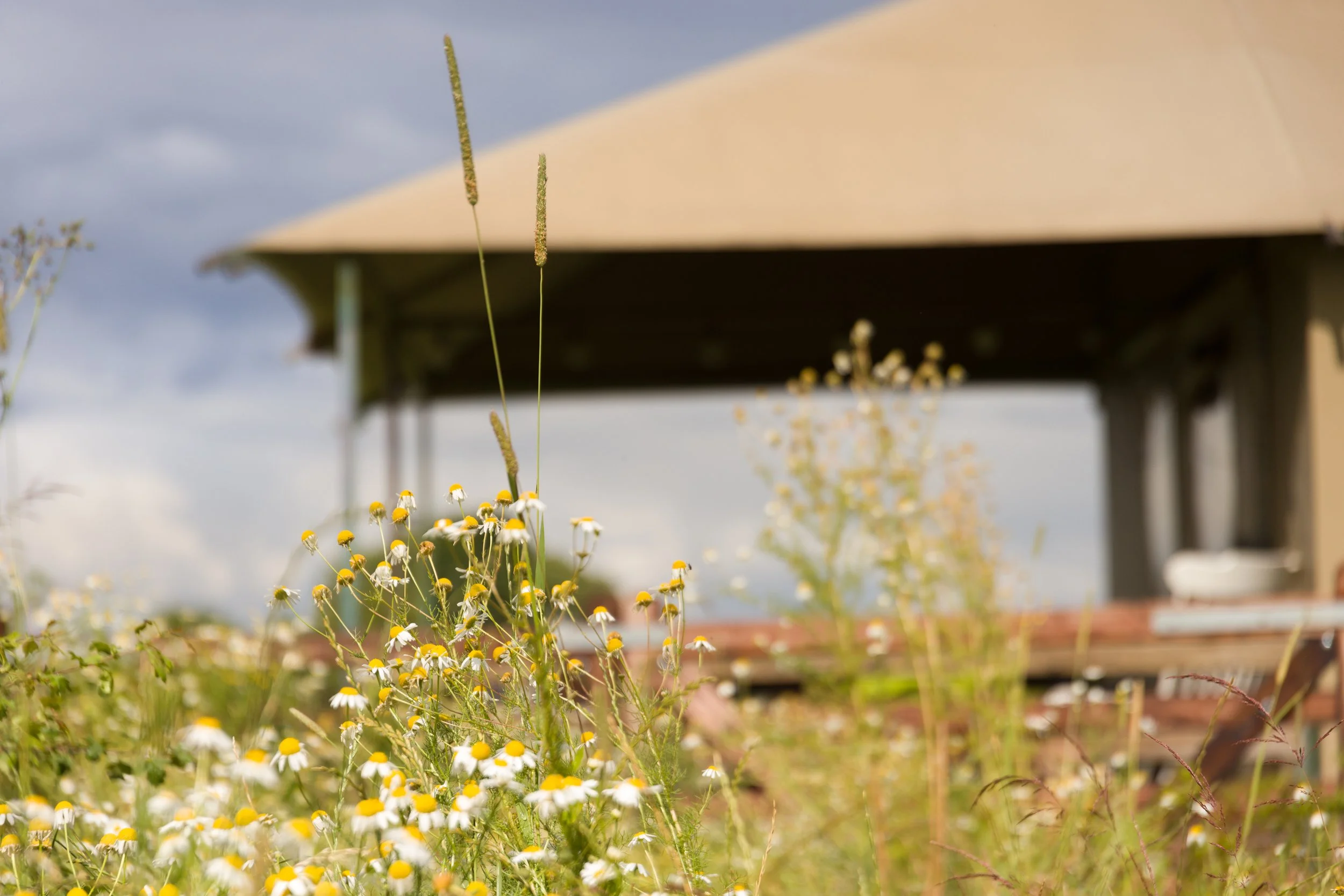 Omgeving Maarkedal Vlaamse Ardennen – glamping Berg ten Houte