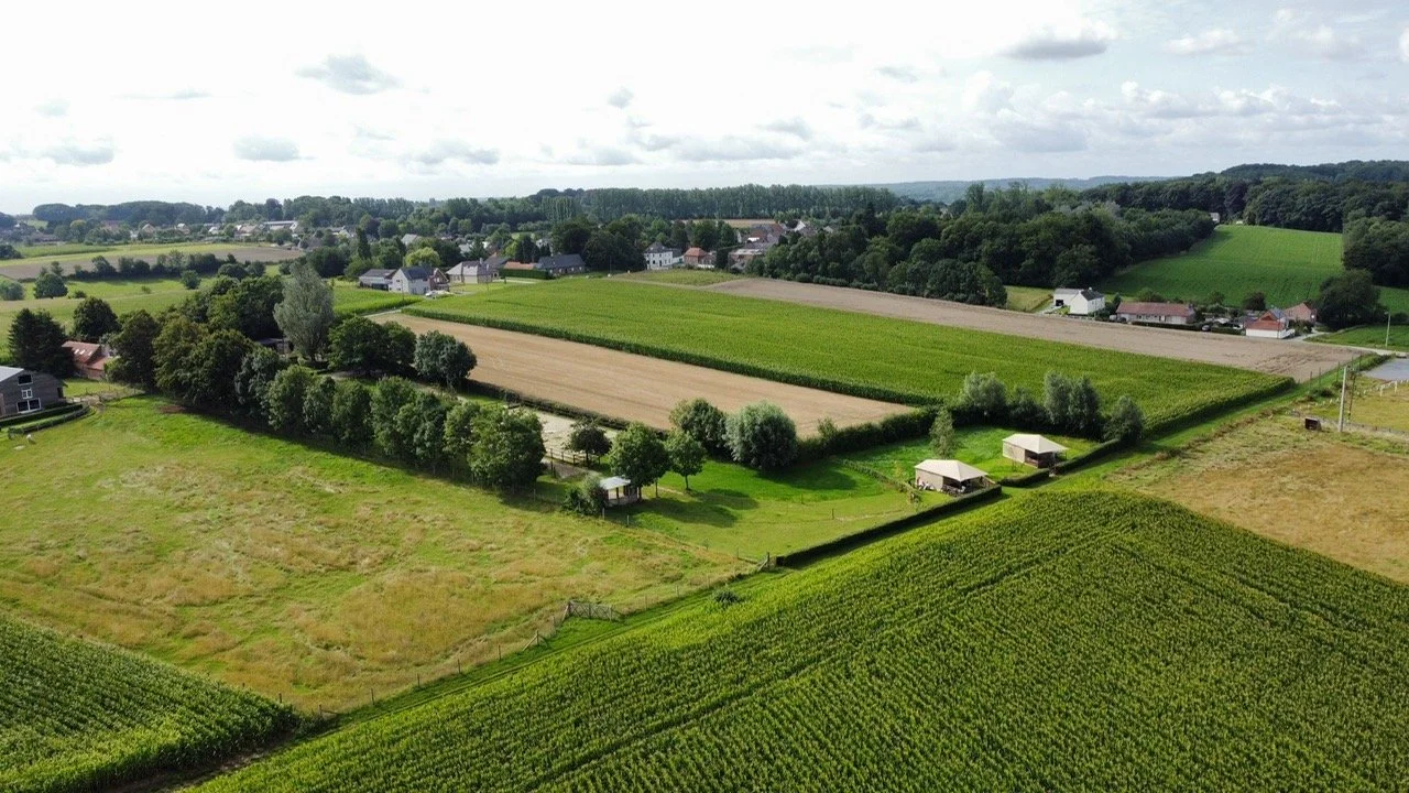 Glooiende weilanden en bossen in de Vlaamse Ardennen