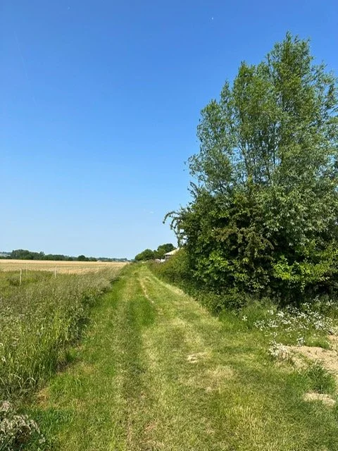 Natuur en rust rondom glamping Berg ten Houte